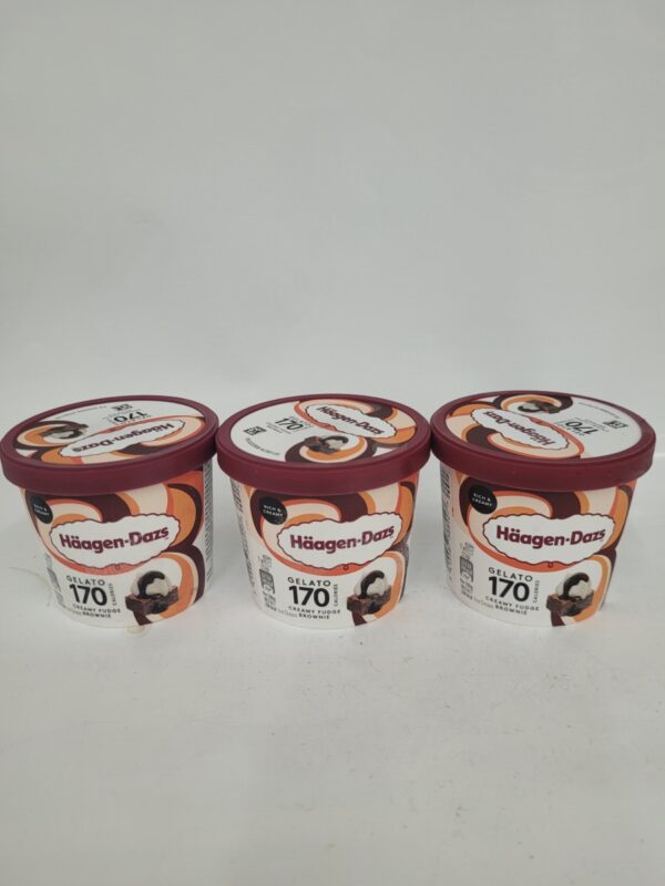 Haagen-Dazs 170 Gelato Ice-cream