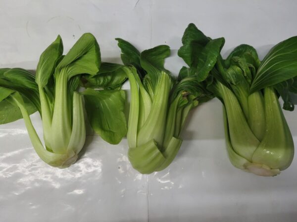 Pak Choi