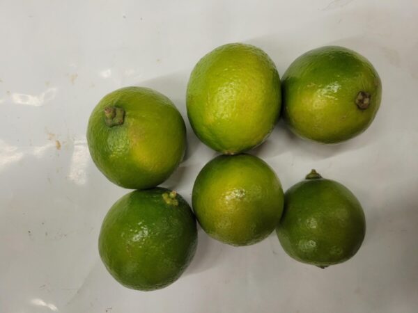 Limes
