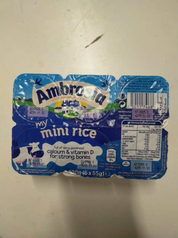 Mini Rice Pudding